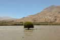 /album/cesta-mongolsko/a6-tadzikistan-tam-za-rekou-afganistan-jpg/